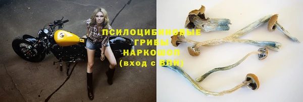 герыч Абаза