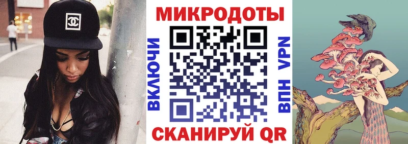 Галлюциногенные грибы Psilocybe  Шилка 